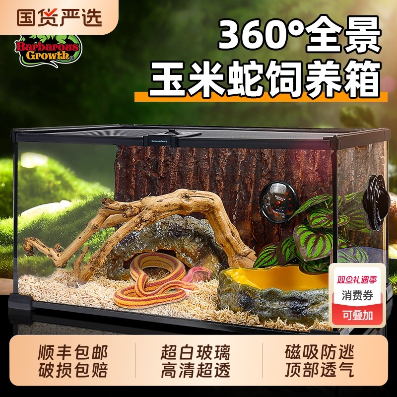 超白玻璃成体宠物蛇饲养箱爬宠饲养缸养蛇专用造景全套防逃生态缸