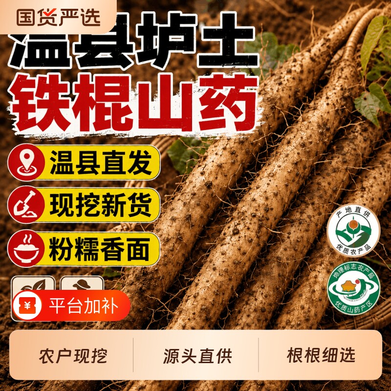 河南焦作正宗温县垆土铁棍山药中药材铁杆新鲜怀淮山药顺丰包邮