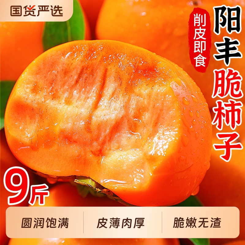 新鲜阳丰脆柿子产地直发！