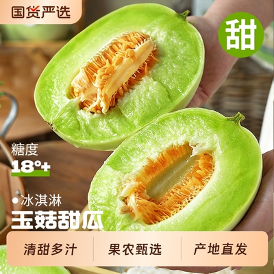 正宗山东玉菇甜瓜一口爆汁