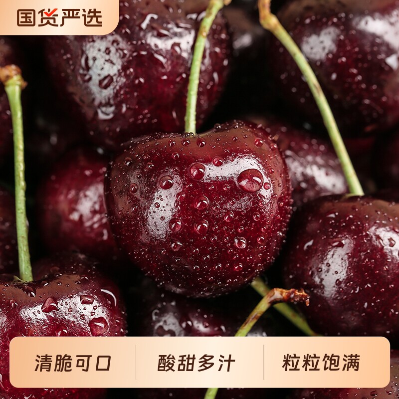 现货智利进口车厘子新鲜水果当季大果原箱大樱桃顺丰/京东