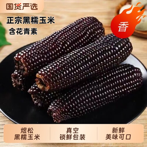 东北真空黑糯玉米甜糯玉米