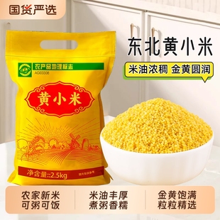 东北黄小米农家新米五谷杂粮粘糯小米粥主食粥小米粗粮特产国货