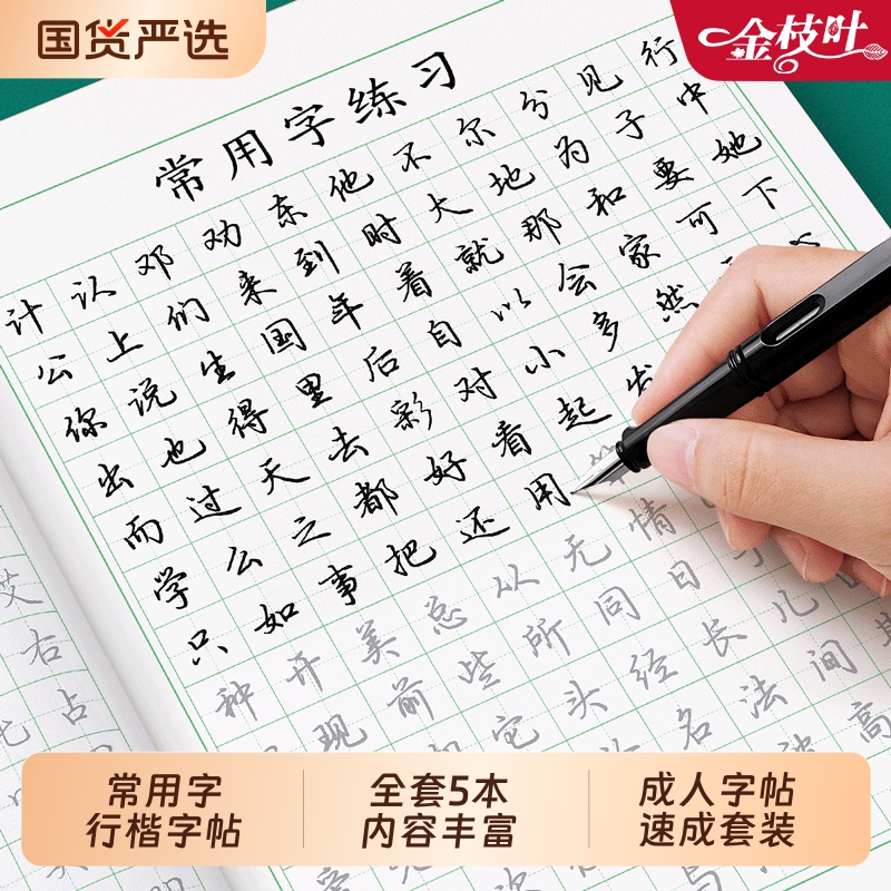 行楷字帖成人练字套装初学者速成