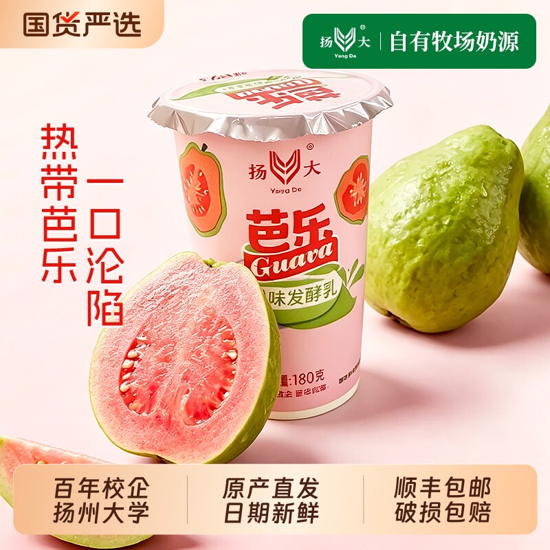 扬大酸奶扬州大学网红芭乐低温酸奶生牛乳茉莉花酸牛奶原味发酵乳