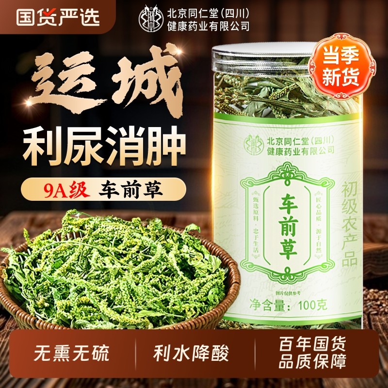 北京同仁堂车前草野生中药尿降酸泡水喝信盛堂干货官方旗舰店正品