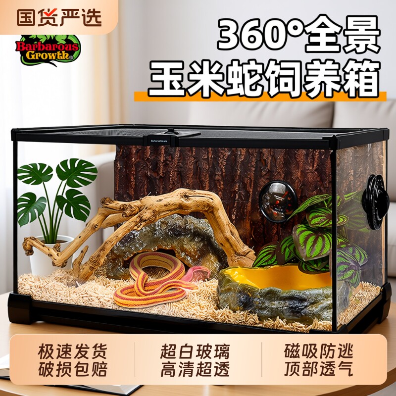 超白玻璃宠物蛇饲养箱爬宠饲养缸养蛇专用造景全套生态缸蜥蜴客厅