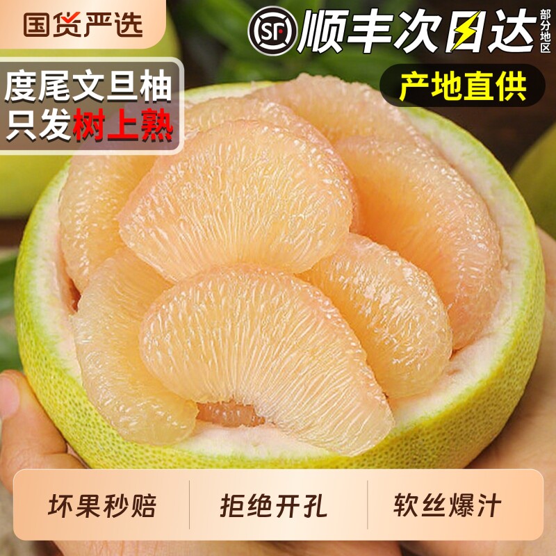 【顺丰次日达】正宗度尾文旦柚