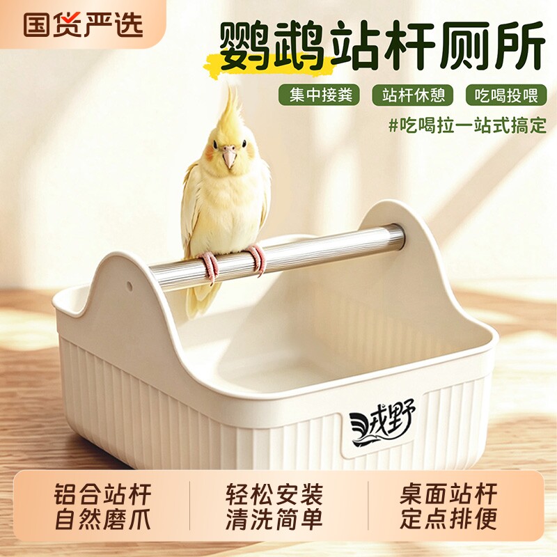 鹦鹉休息磨爪定点排便站台杆图片