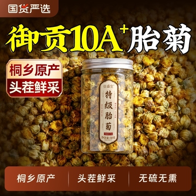 桐乡原产特级胎菊王杭白菊花清热下火头茬鲜采正品官方旗舰店