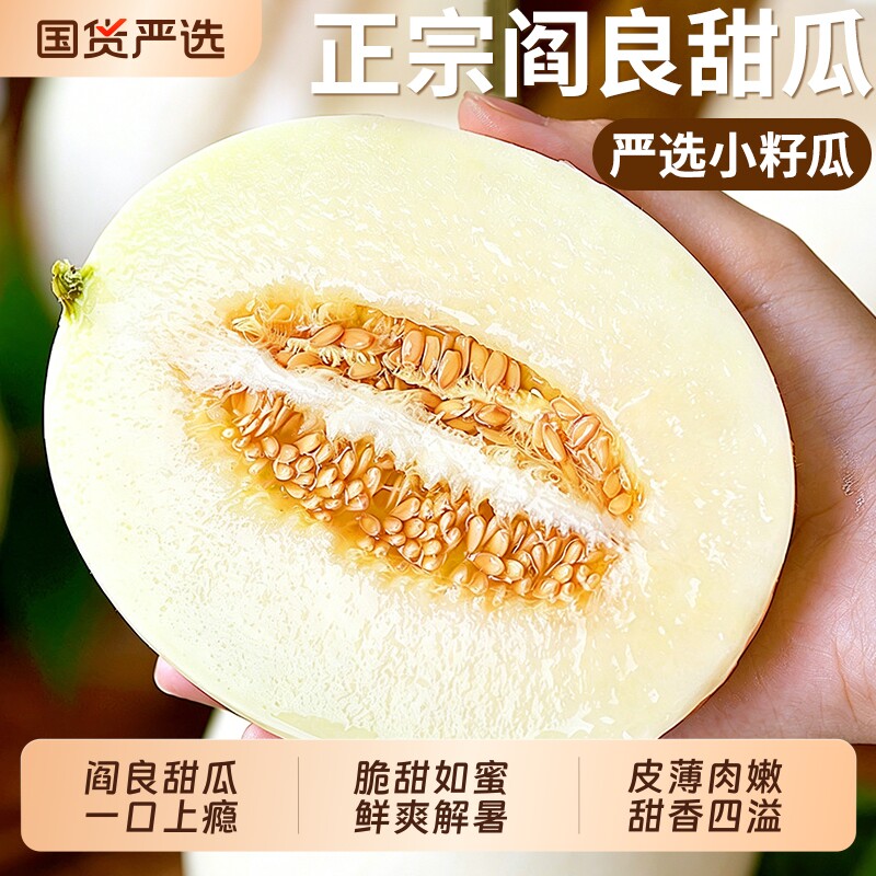陕西阎良甜瓜新鲜香瓜应季当季现摘时令水果蜜蜜瓜脆小籽白瓜原产