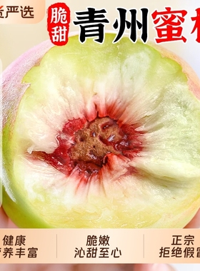 青州冬雪蜜桃5斤大毛桃新鲜水果当季正宗山东脆桃毛桃子现摘顺丰