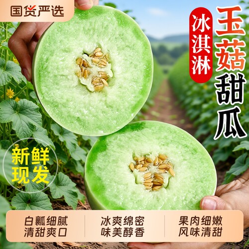 正宗冰淇淋玉菇甜瓜9斤新鲜水果当季整箱包邮小香瓜蜜瓜现摘现发