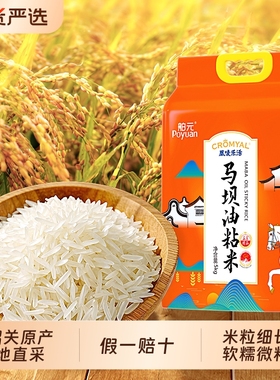 舶元韶关马坝油粘米5kg*1袋原粮广东南方籼米地标米煲仔饭优选