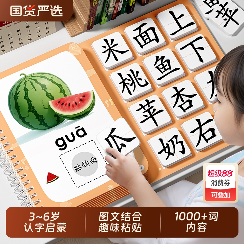 识字书幼儿认字启蒙2-6岁3宝宝早教安静书一年级儿童认知卡片全套