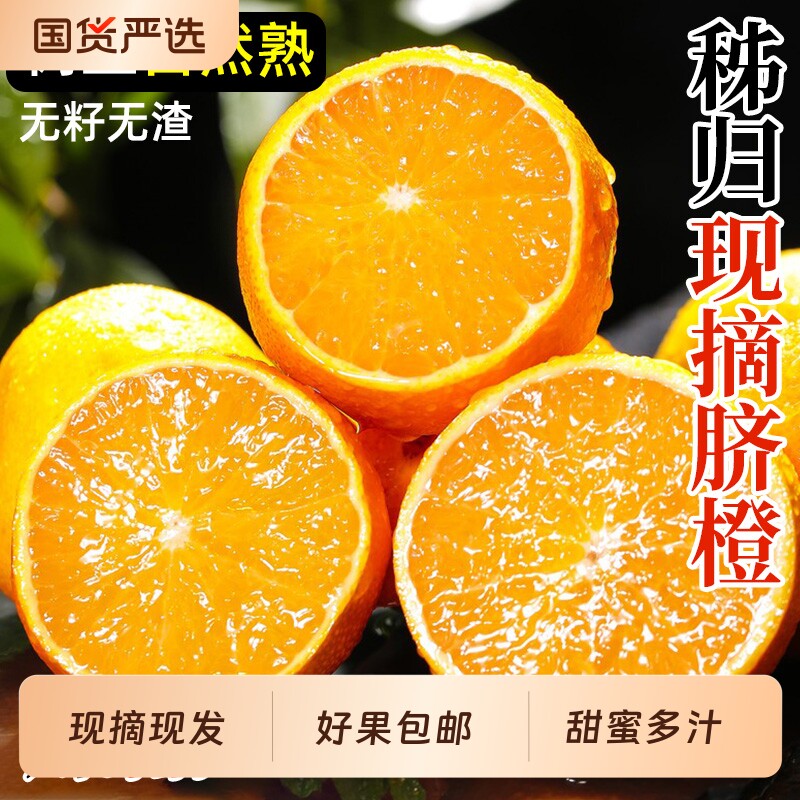 纽荷尔脐橙大果现摘甜橙子