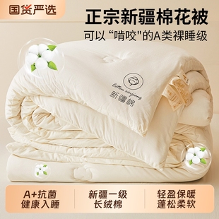 新疆棉花被子被芯冬被加厚保暖棉被褥春秋被学生宿舍单人四季 通用