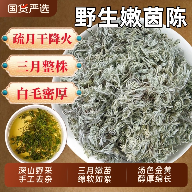野生茵陈中药材官方旗舰店三月绵茵陈蒿茶草药绵白蒿干茵陈泡水喝
