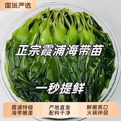 品质霞浦新鲜特级海带嫩苗嫩芽火锅海菜芽海鲜非干货美味国货凉拌