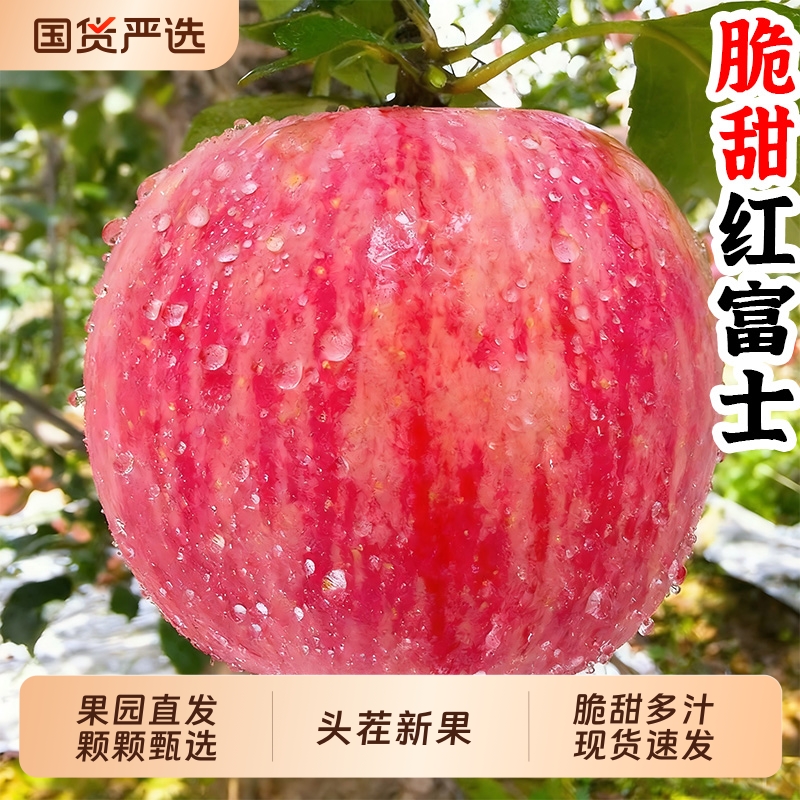 【甄选】红富士苹果水果新鲜当季冰糖心平果丑萍果脆甜整箱包邮