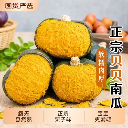 正宗贝贝南瓜粉糯香甜板栗味
