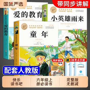 全套3册童年六年级必读课外书爱的教育和小英雄雨来上册的高尔基快乐读书吧六上阅读书籍记下册书目民间故事童话经典正版名著人物