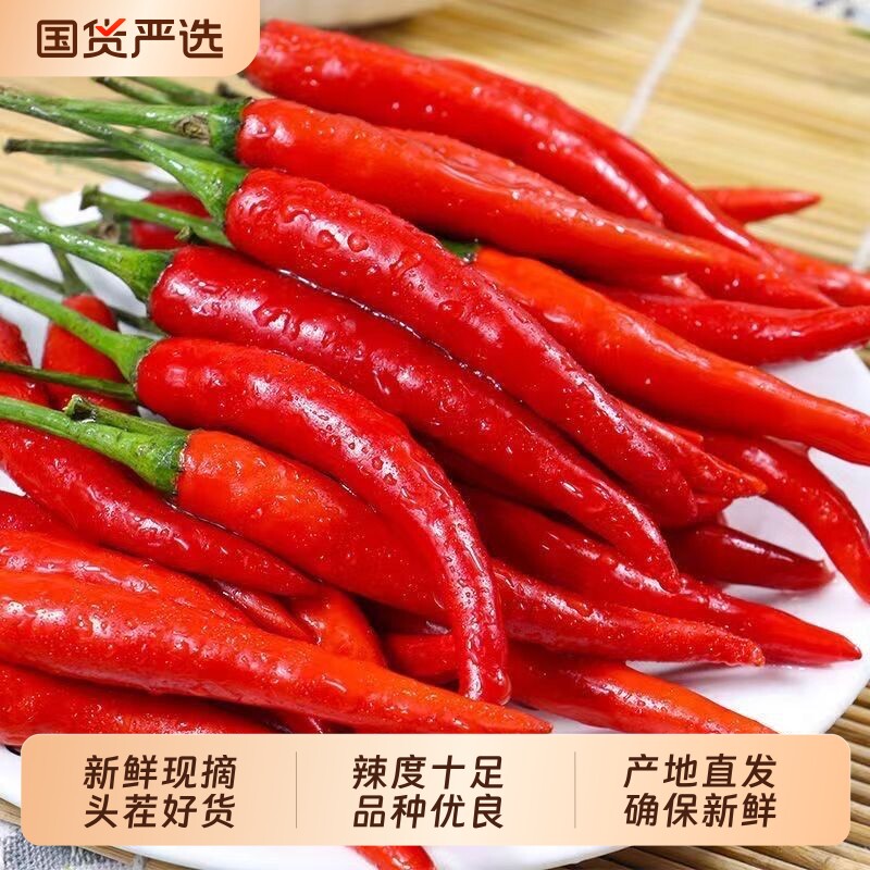 现摘现发小米辣椒新鲜特辣辣红辣椒朝天椒指天椒超辣泡椒米椒剁椒