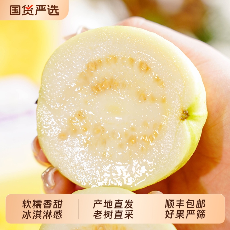 福建软糯白心芭乐黄金奶油芭番石榴新鲜水果顺丰包邮脆甜本地软心