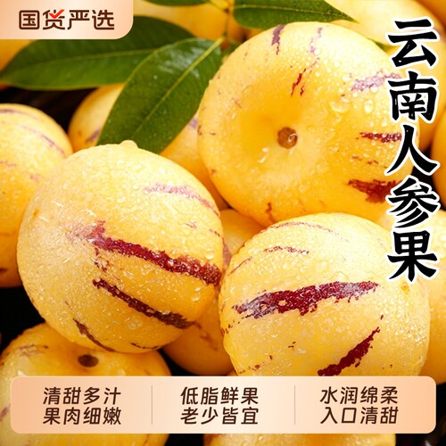 云南石林人参果新鲜水果树上熟