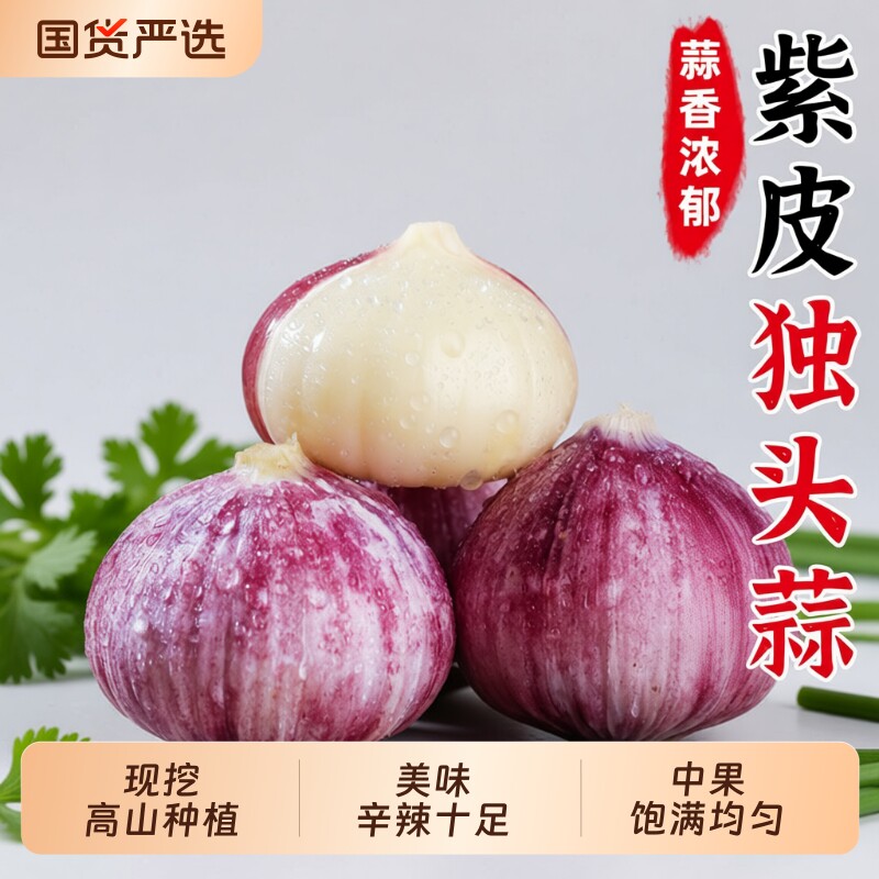 新鲜现挖独头蒜云南紫皮大蒜当季农家自种蔬菜独瓣大干蒜可做糖蒜