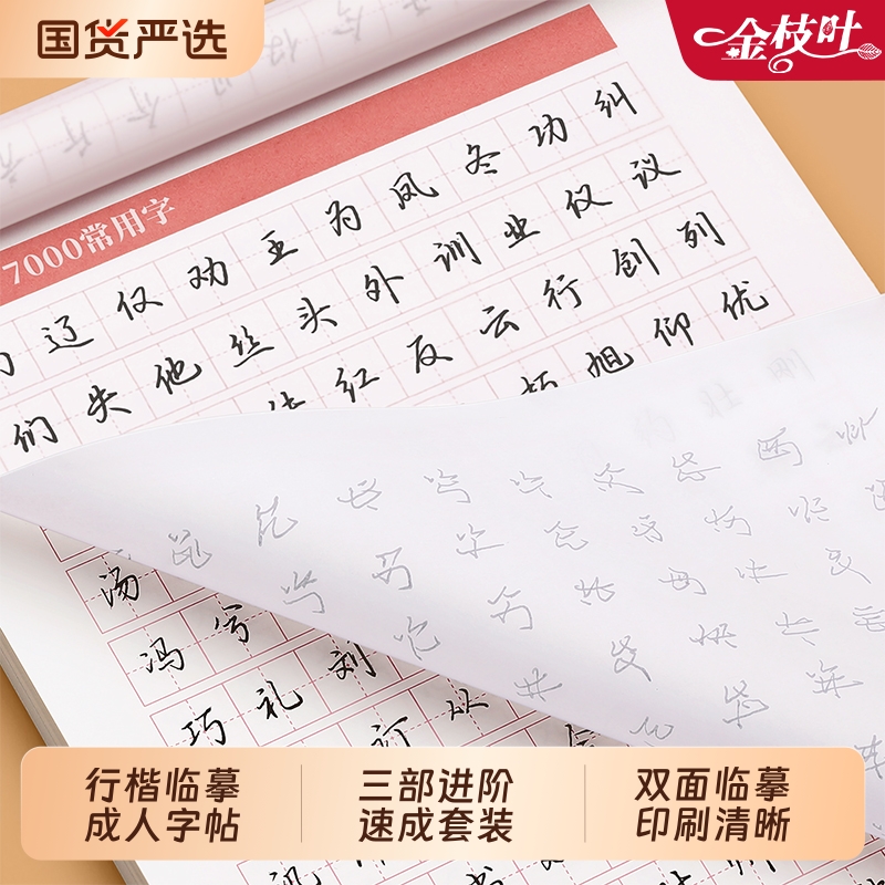 行楷成人练字帖行书速成套装