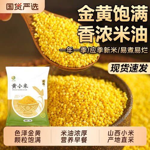 黄小米1kg山西农家自产粗杂粮粥现磨养新鲜胃糯小米油浓厚颗粒满