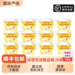 伊利奶皮子酸奶138g*12杯呼伦贝尔菌株 风味发酵乳营养早餐奶