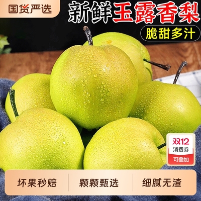 新鲜现摘酥脆多汁丨山西玉露香梨