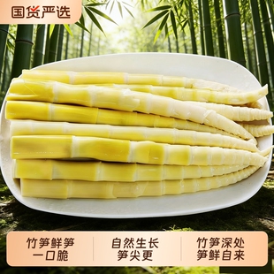 竹笋新鲜野生小笋尖清水春笋江西特产脆嫩笋火锅泡椒袋装罗汉笋