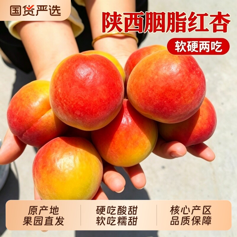 陕西胭脂红杏4斤贵妃红杏新鲜水果酸甜孕妇现摘自然熟大红杏包邮