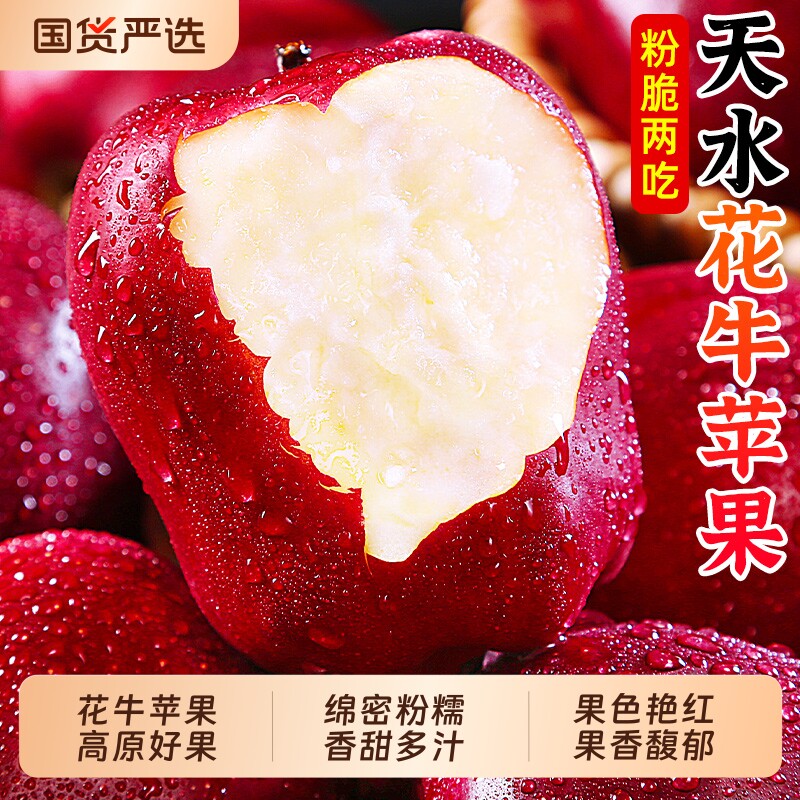 甘肃天水花牛苹果产地直发包邮图片
