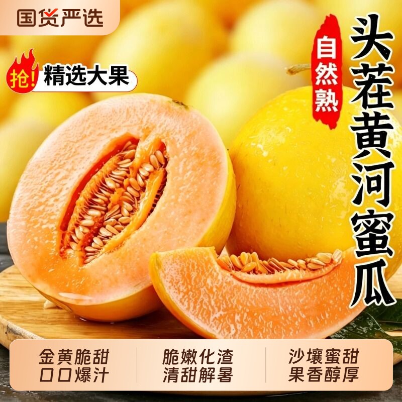 正宗黄河蜜瓜甜瓜新鲜水果当季时令整箱应季沙漠黄金脆香瓜哈密瓜图片