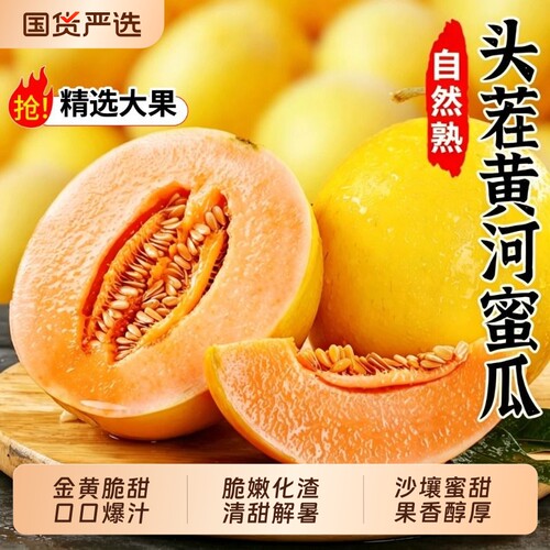 正宗黄河蜜瓜甜瓜新鲜水果当季时令整箱应季沙漠黄金脆香瓜哈密瓜