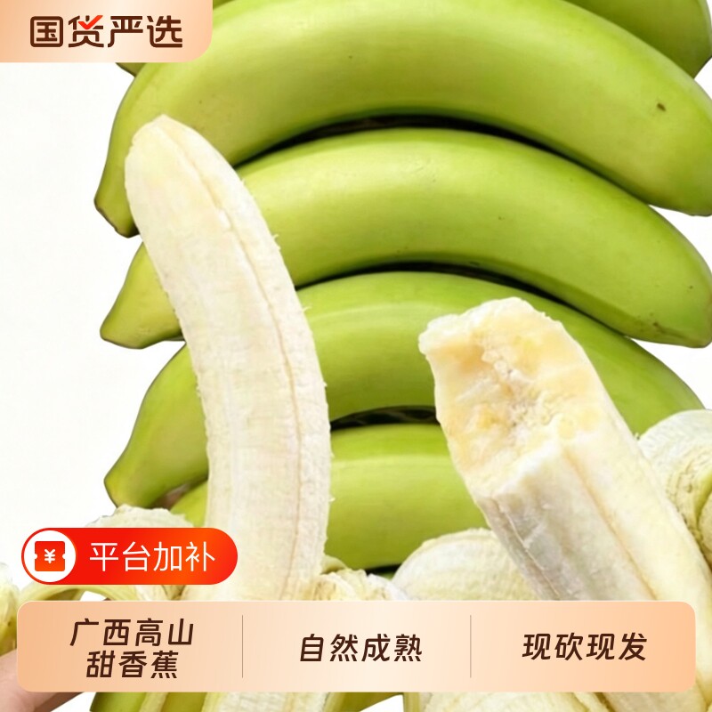 [催熟食用]正宗广西高山甜香蕉威尼斯绿皮软糯香甜自然熟新鲜水果