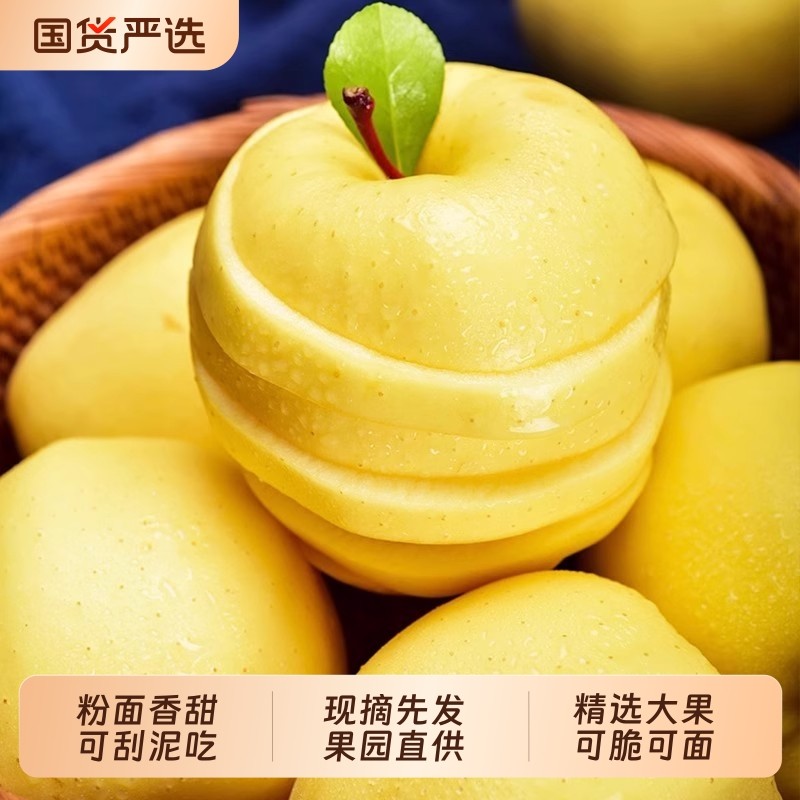 圣诞正宗黄元帅苹果9斤新鲜水果粉面黄金帅黄香蕉粉面脆甜现摘,水产肉类/新鲜蔬果/熟食,苹果,淘宝优惠券,粉丝福利购,淘宝优惠卷