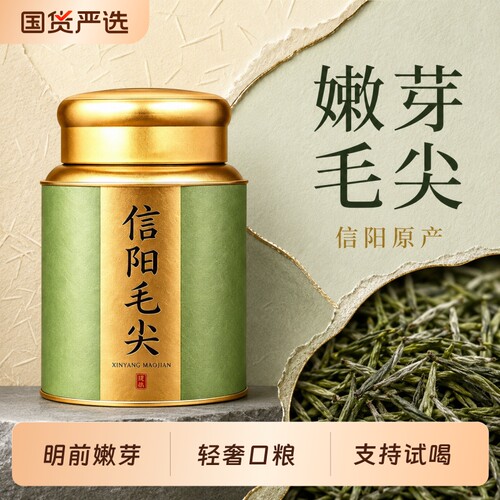 信阳毛尖新茶嫩芽浓香型
