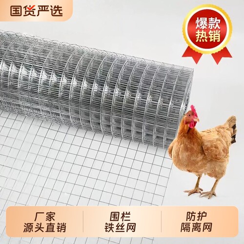 镀锌钢丝网围栏防鸟防鼠
