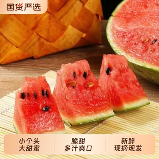 正宗2k小糖丸西瓜当季现摘脆甜冰淇淋手撕甜瓜麒麟瓜新鲜水果