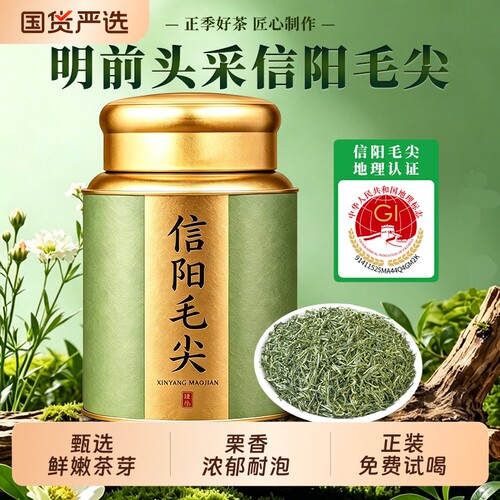 信阳毛尖绿茶浓香型茶叶特级口粮
