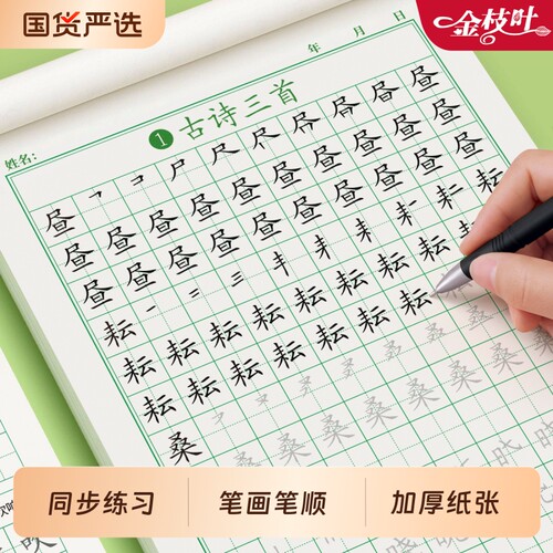 五年级练字帖每日一练小学生