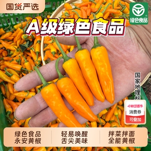 永安黄椒新鲜福建小米椒特辣魔鬼辣椒朝天椒泡椒佐料批发蔬菜农村
