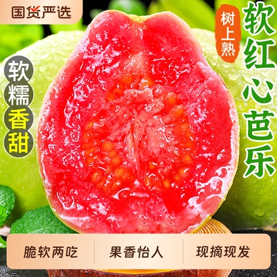 热卖！软糯红心芭乐！冰淇淋口感