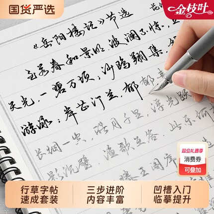 行楷字帖行草行书练字帖成年临摹成人练字速成钢笔硬笔书法草书连笔字练字本男女生专用大学生初中生高中大人常用3000字控笔训练