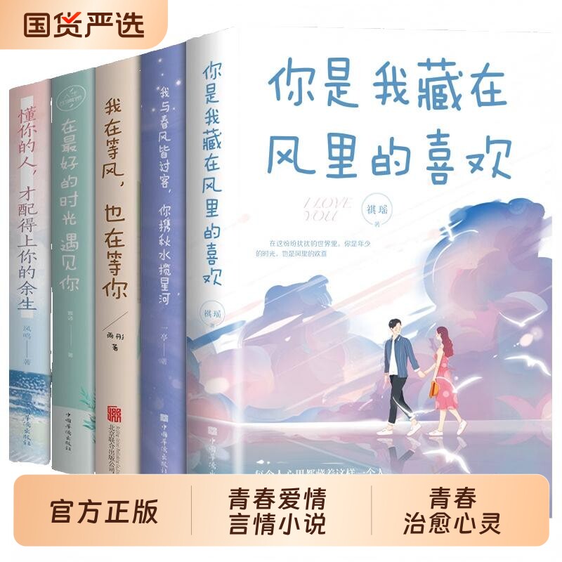 青春爱情言情小说治愈心灵你是我藏在风里的喜欢有幸被爱无畏山海懂你